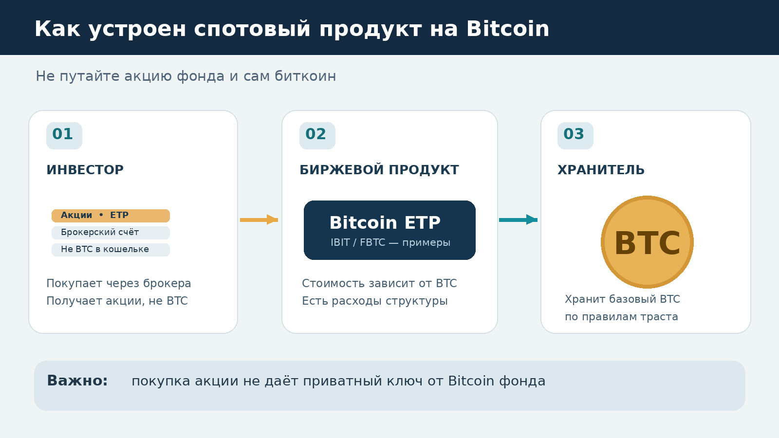 Схема работы Bitcoin ETP: инвестор приобретает акции через брокера, структура владеет Bitcoin через хранителя