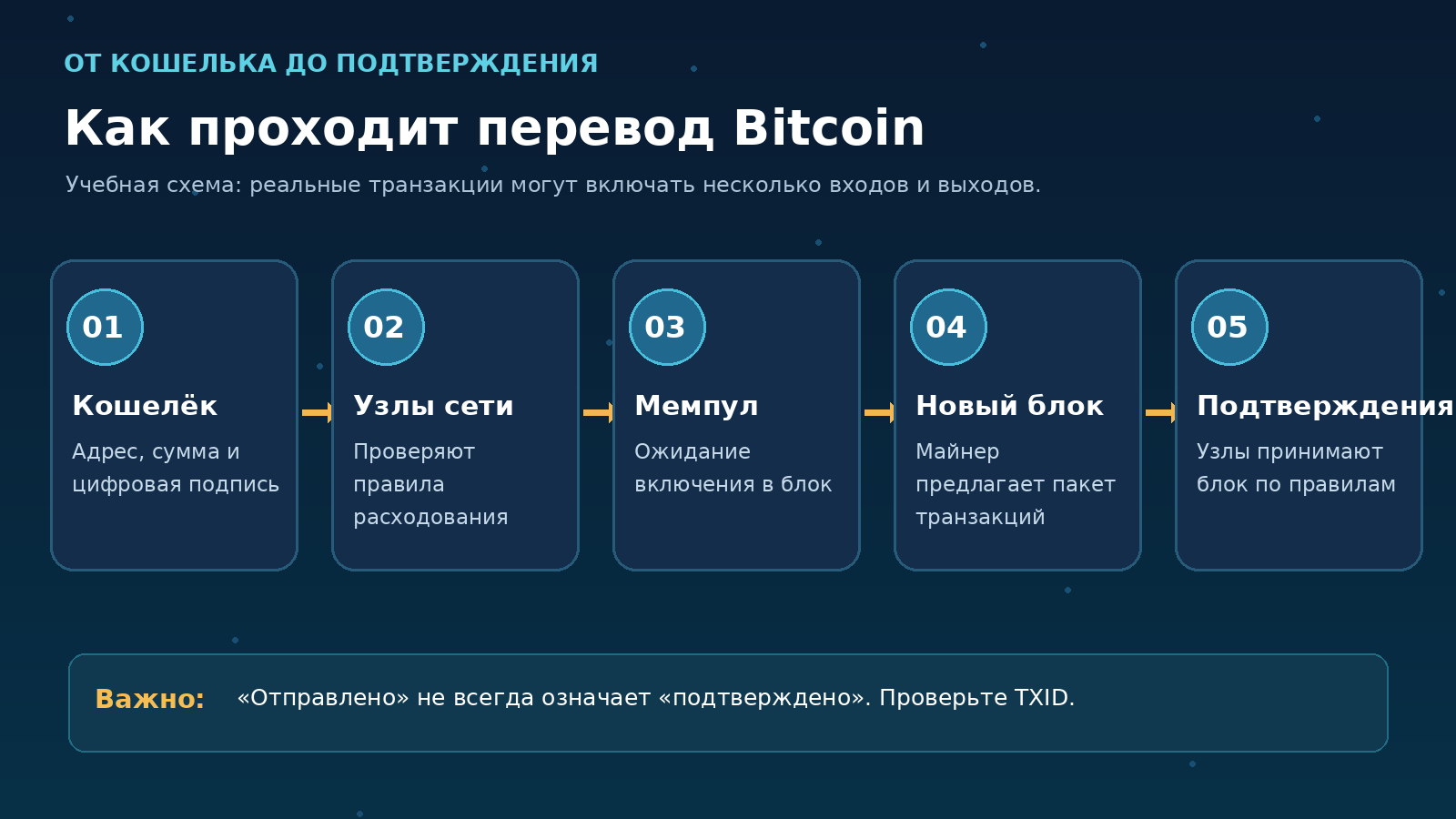 Схема перевода Bitcoin от создания цифровой подписи до получения подтверждений