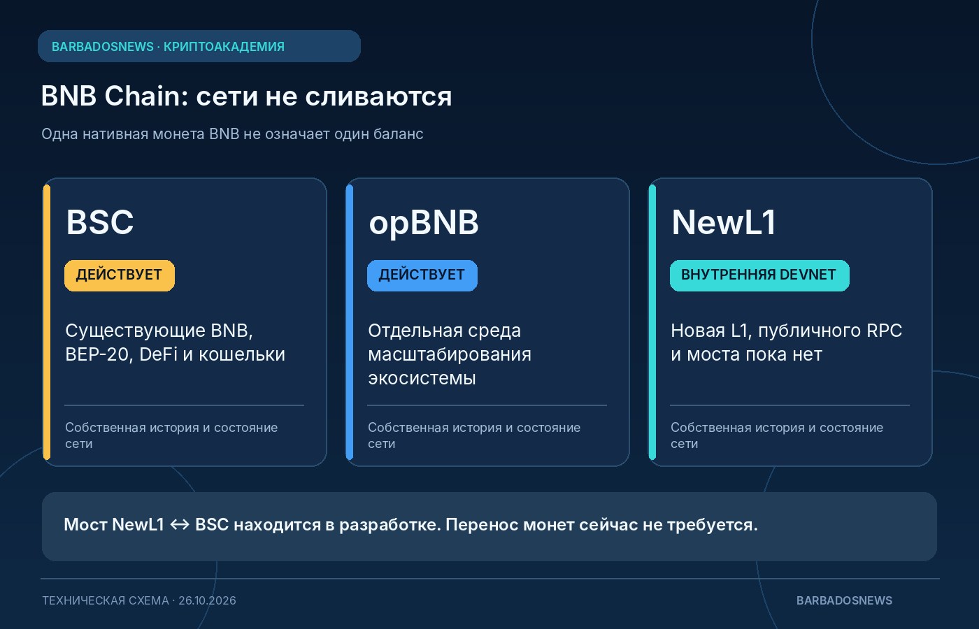 Три разные сети экосистемы BNB Chain: действующие BNB Smart Chain и opBNB, а также NewL1 на стадии внутренней devnet