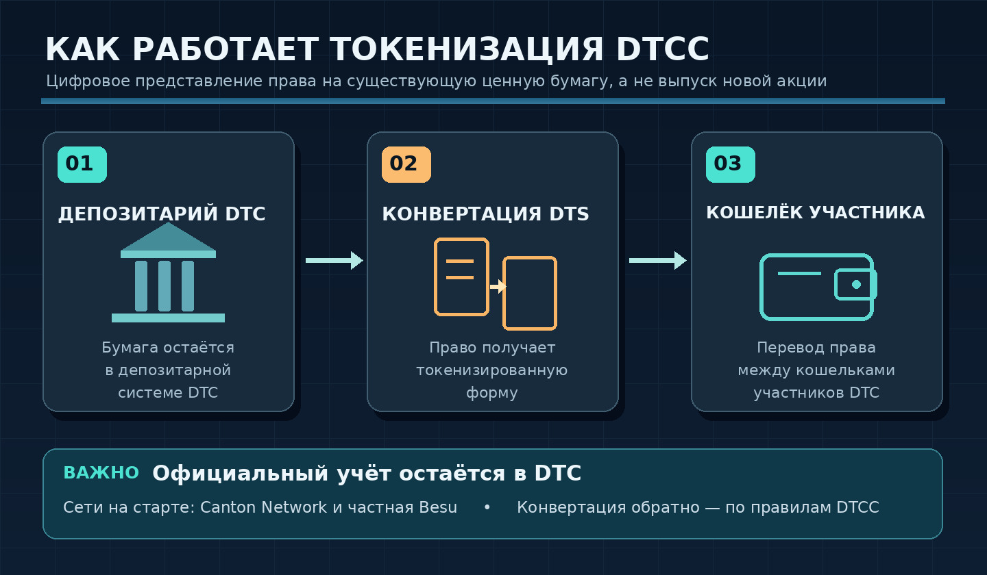 Схема DTCC: ценная бумага учтена в DTC, право преобразуется в токенизированную форму и передаётся между зарегистрированными кошельками с возможностью обратной конвертации