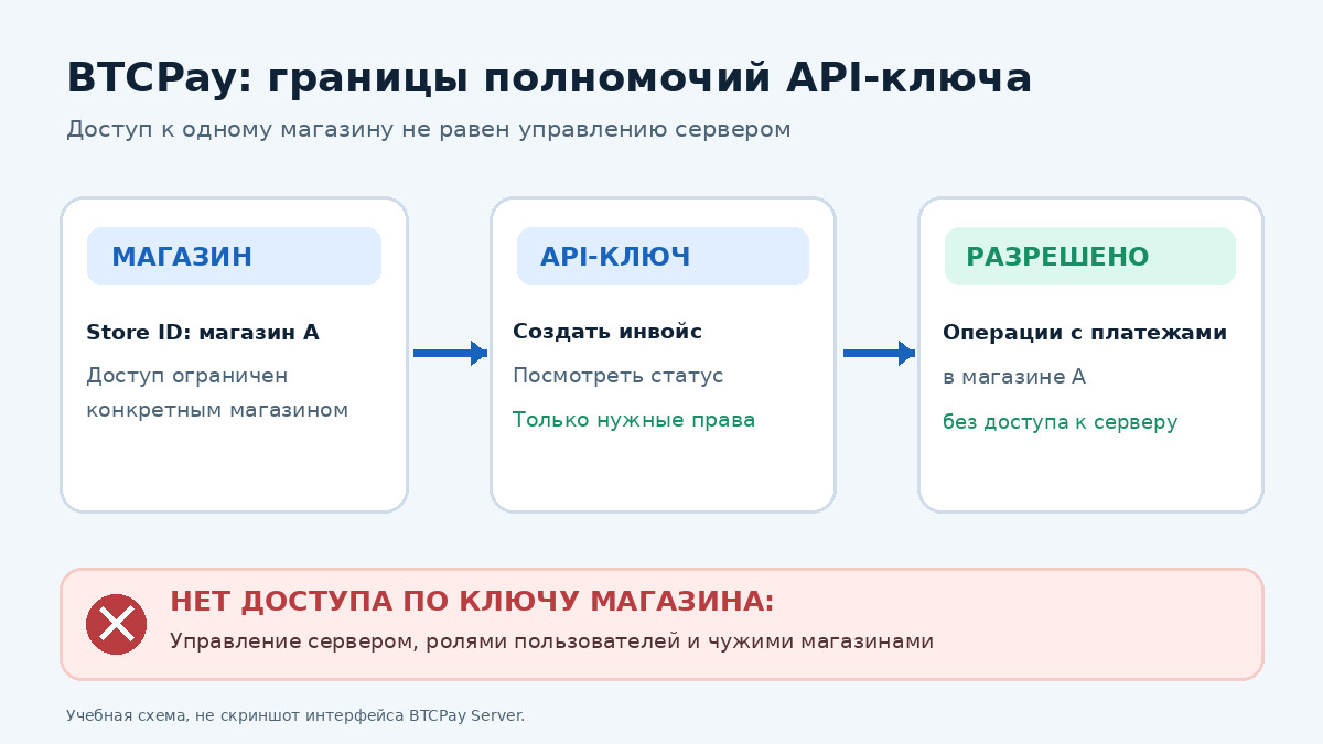 Схема прав API-ключа BTCPay Server: магазин, разрешённые операции с инвойсами и закрытые функции сервера