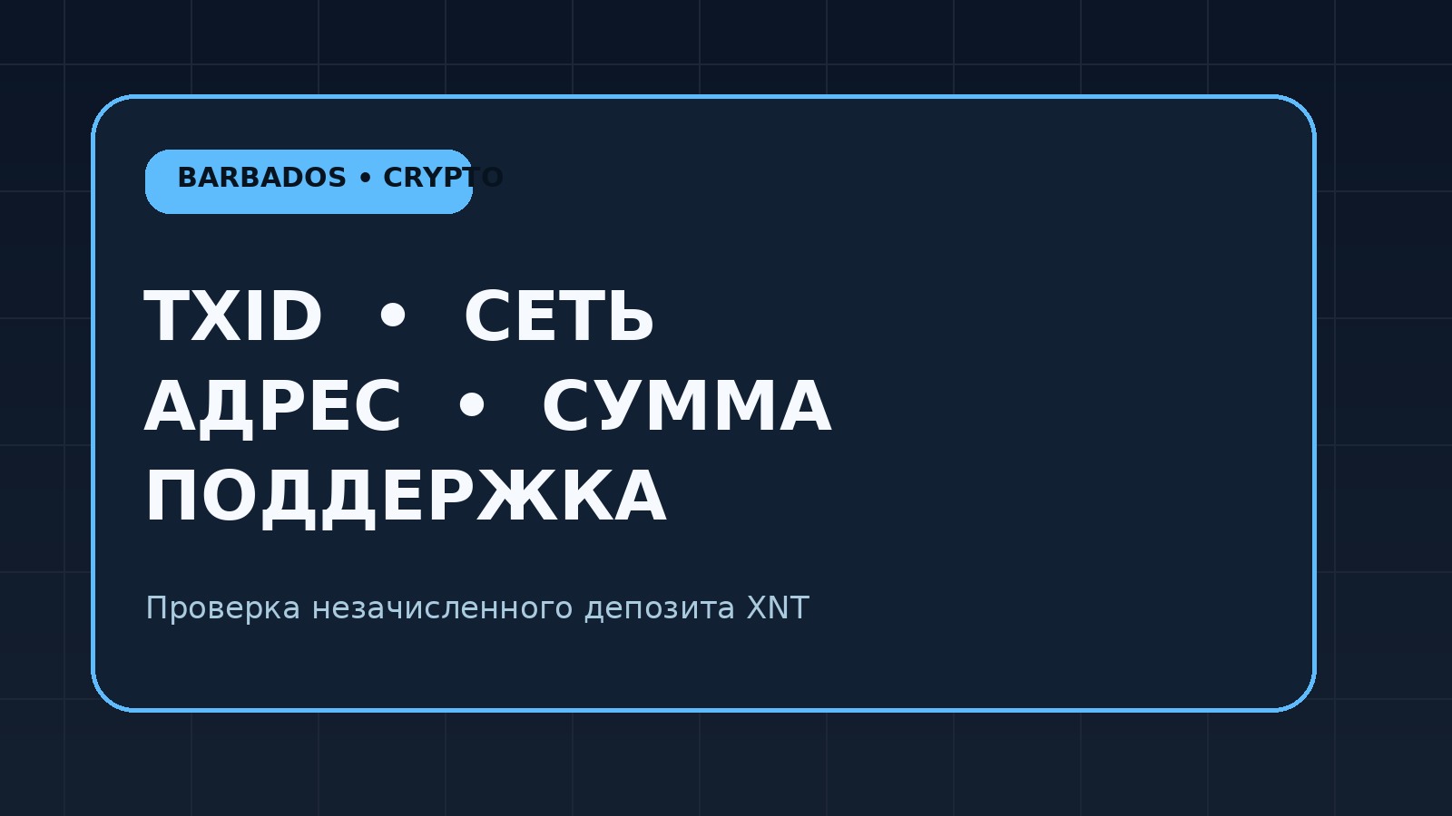 Пять действий при незачисленном депозите XNT: TXID, сеть, адрес, история MEXC и поддержка