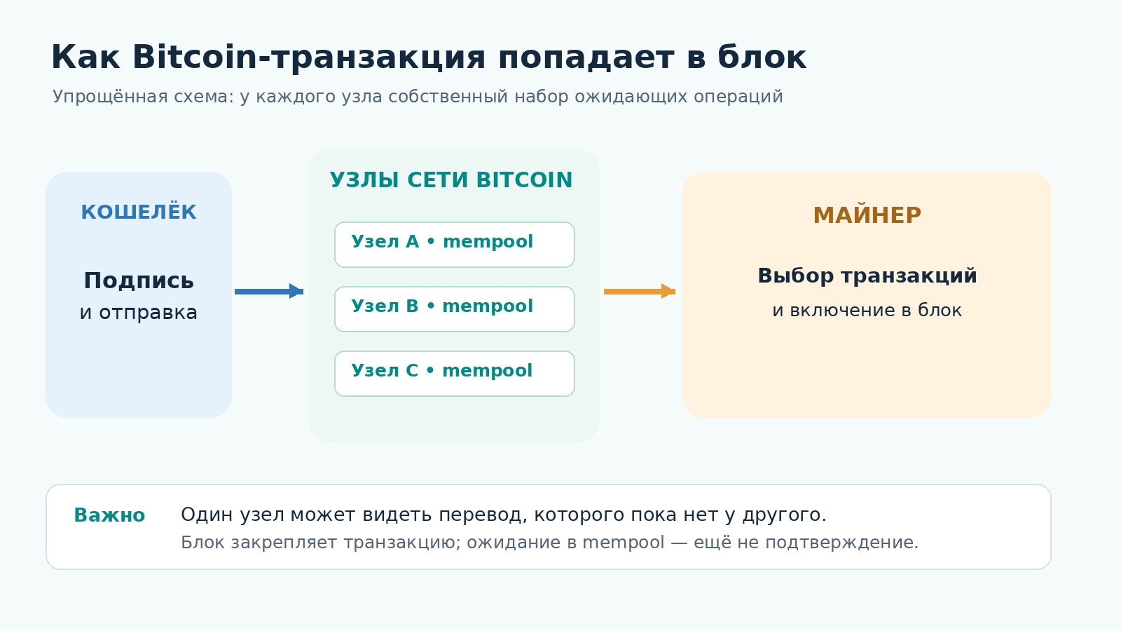 Путь транзакции Bitcoin от кошелька через независимые узлы и мемпул до включения в блок
