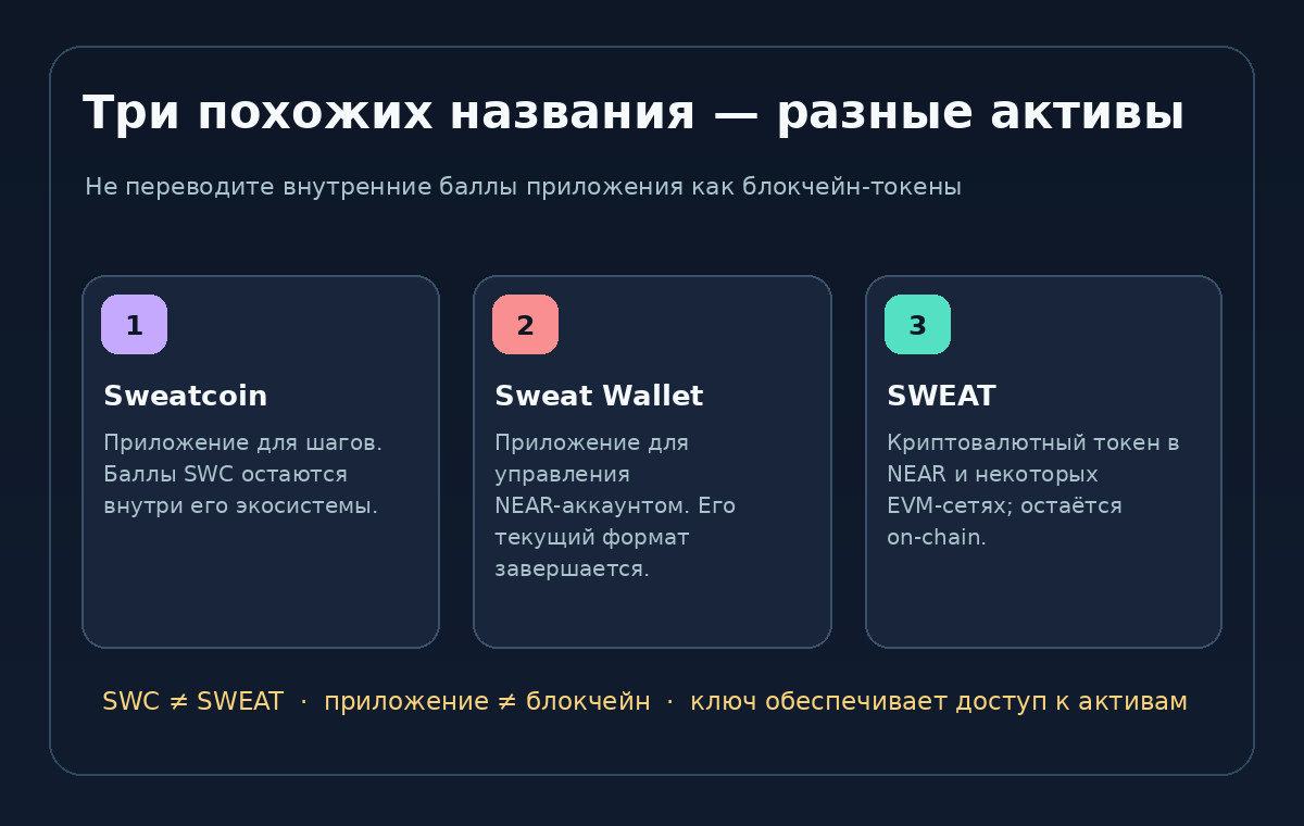 Схема различий: приложение Sweatcoin и внутренние баллы SWC, криптокошелёк Sweat Wallet, токен SWEAT в сети NEAR