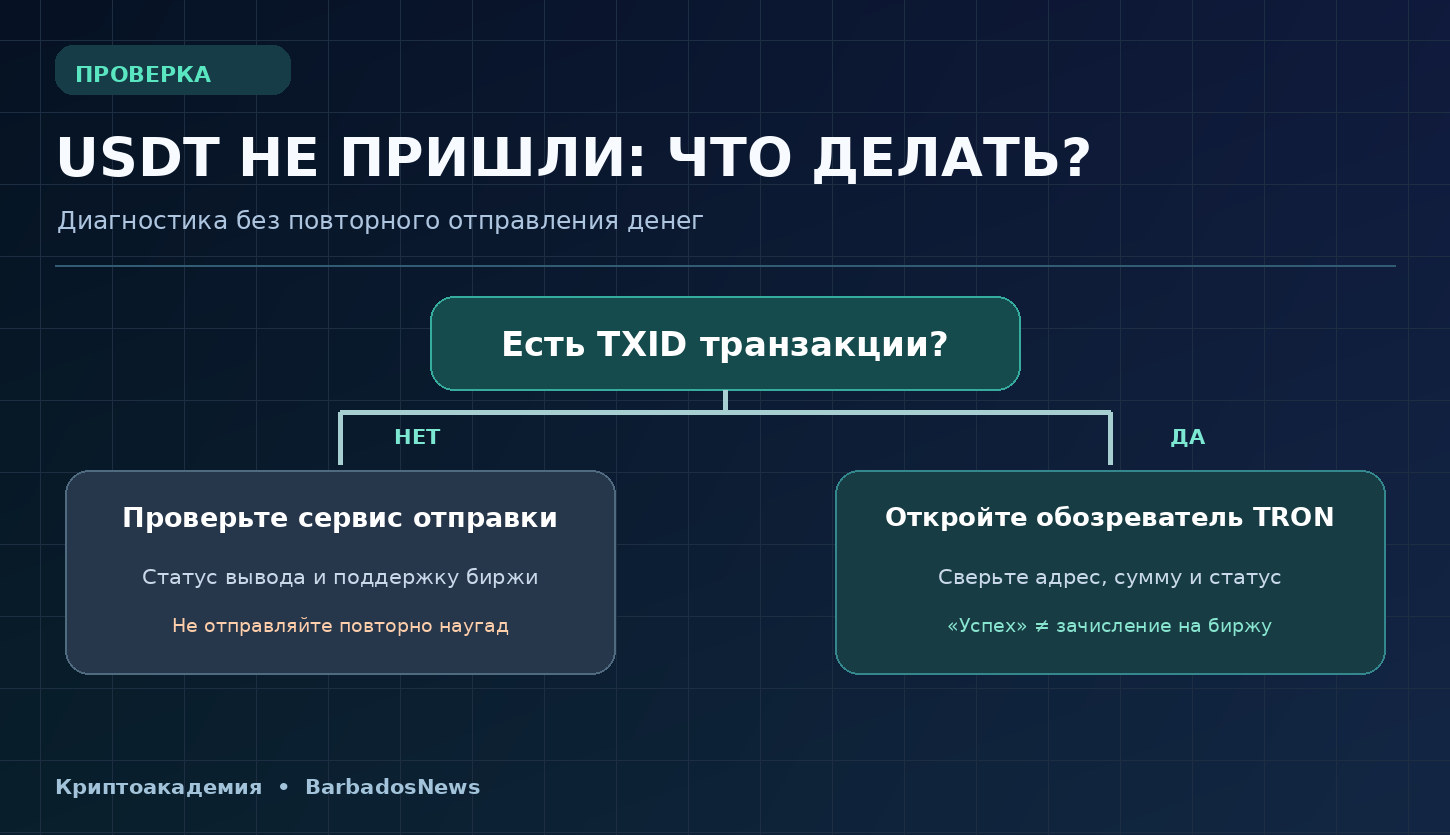 Что делать если USDT TRC20 не пришли: поиск TXID, проверка статуса и обращения в сервис