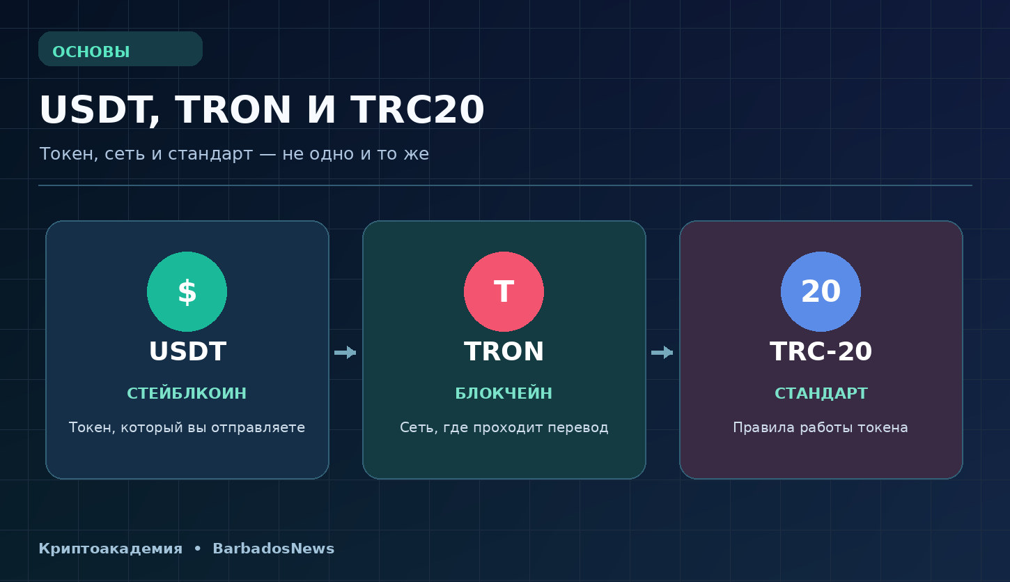 USDT TRC20: схема различия токена USDT, блокчейна TRON и стандарта TRC-20
